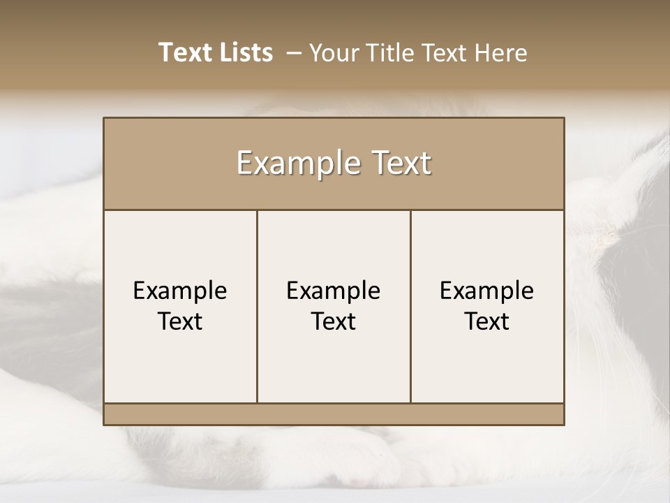 Kitten With Mom PowerPoint Template