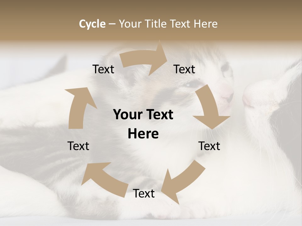 Kitten With Mom PowerPoint Template