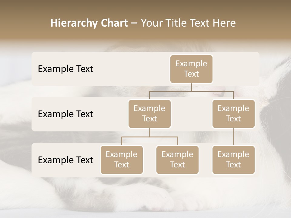 Kitten With Mom PowerPoint Template