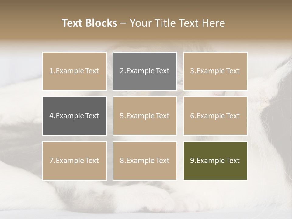 Kitten With Mom PowerPoint Template