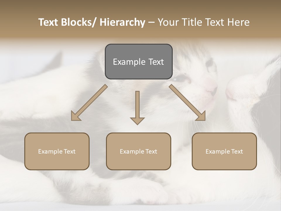 Kitten With Mom PowerPoint Template