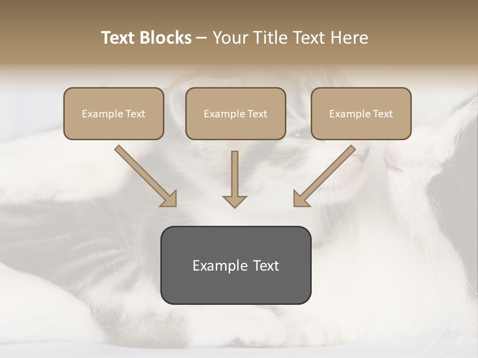 Kitten With Mom PowerPoint Template