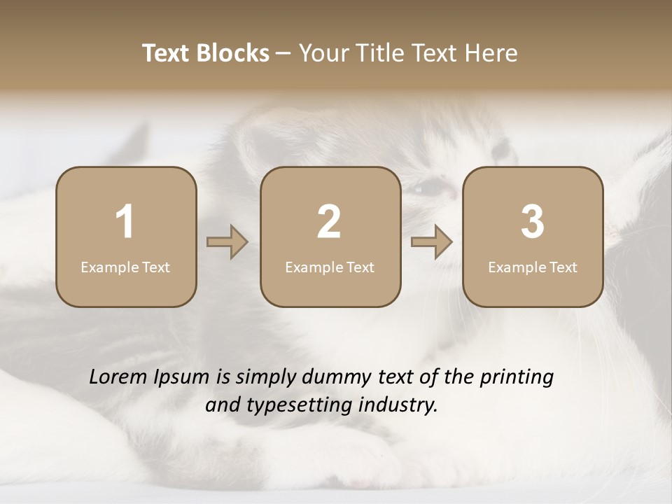 Kitten With Mom PowerPoint Template