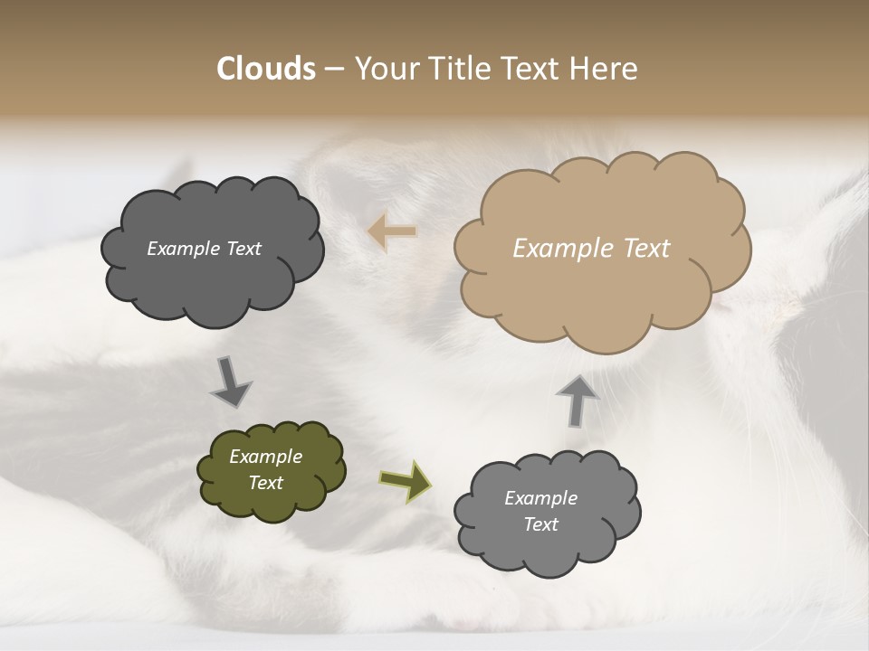 Kitten With Mom PowerPoint Template