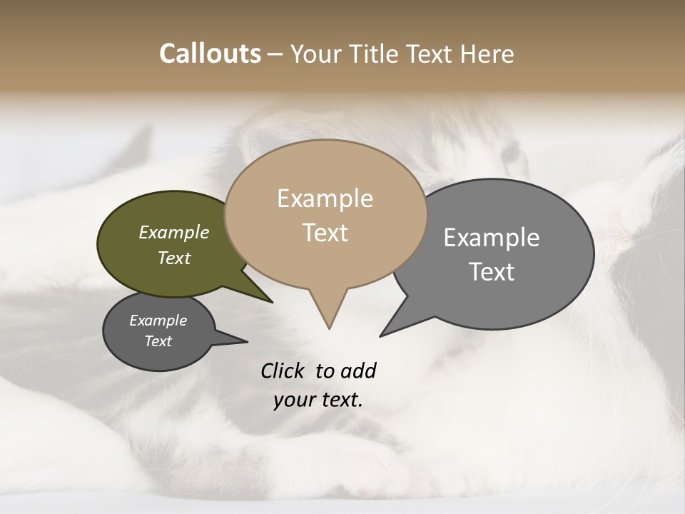 Kitten With Mom PowerPoint Template