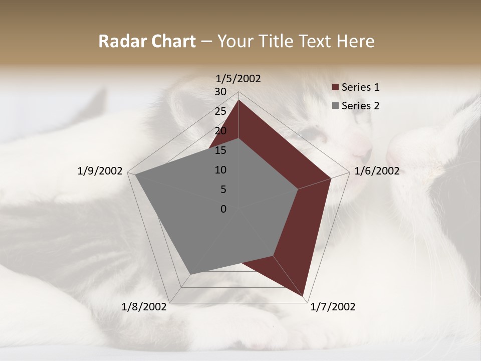 Kitten With Mom PowerPoint Template