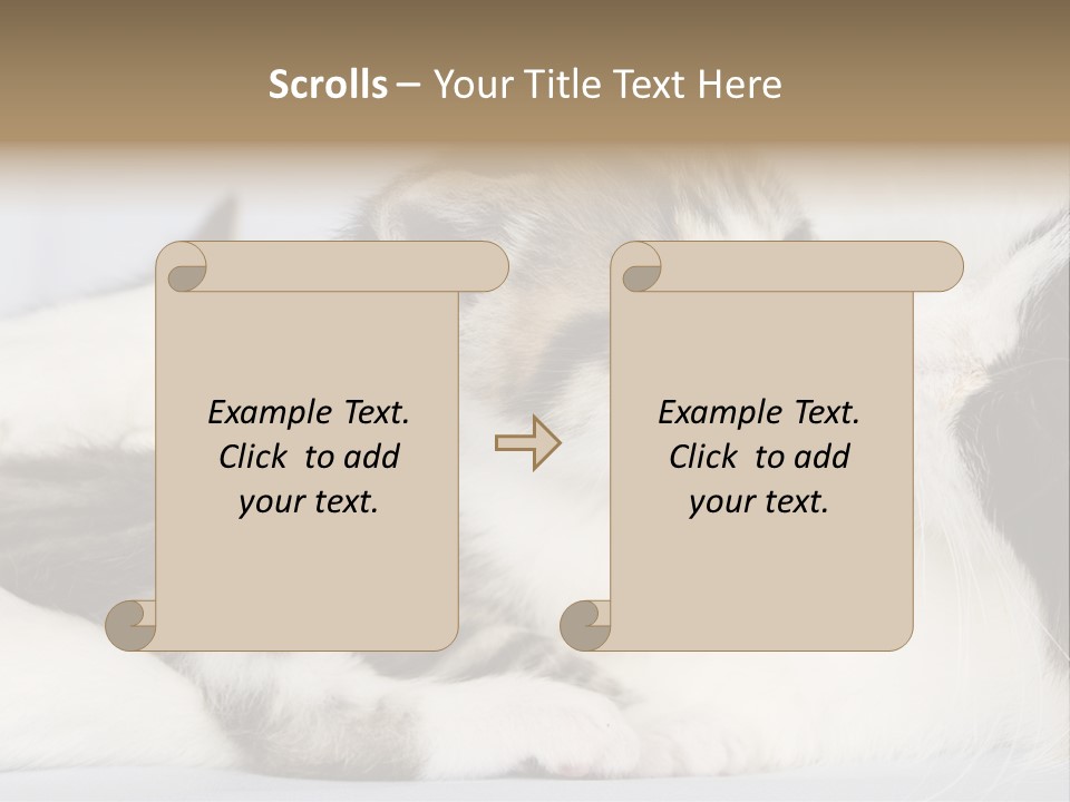 Kitten With Mom PowerPoint Template