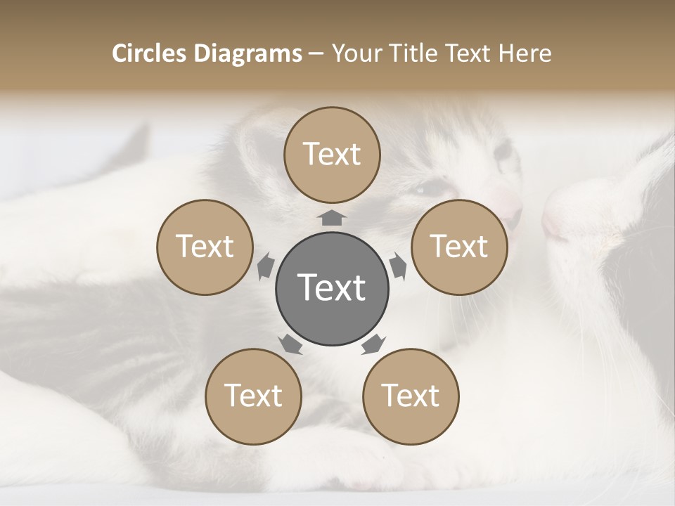 Kitten With Mom PowerPoint Template