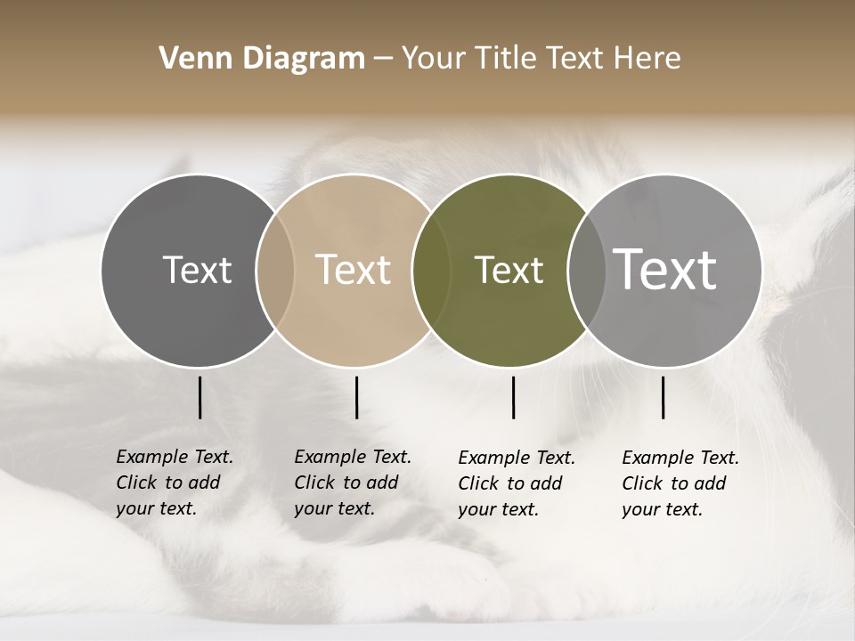 Kitten With Mom PowerPoint Template