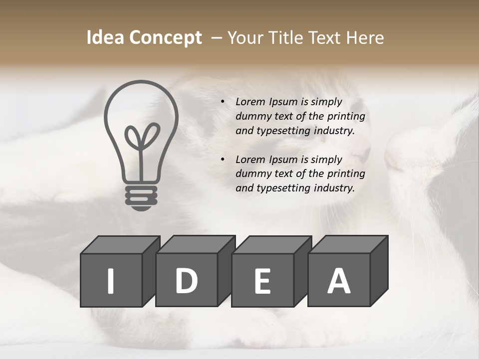 Kitten With Mom PowerPoint Template