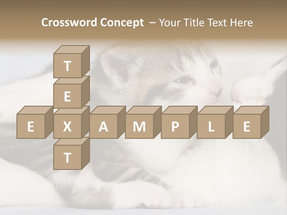 Kitten With Mom PowerPoint Template