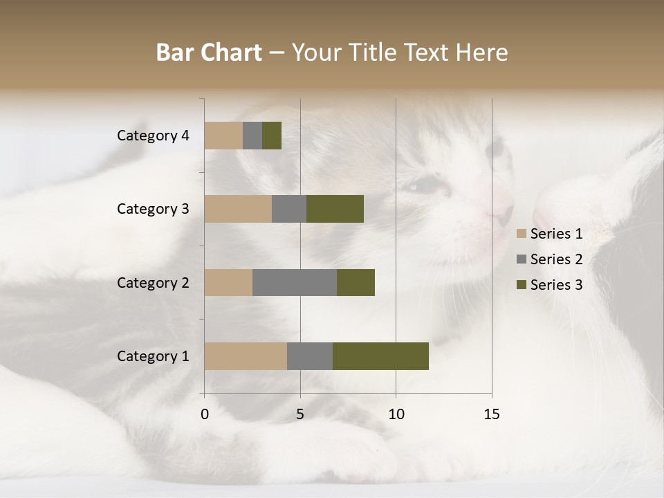 Kitten With Mom PowerPoint Template