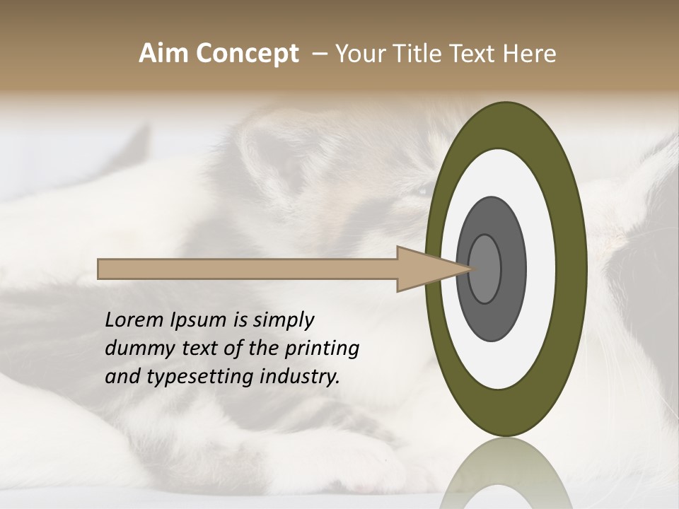 Kitten With Mom PowerPoint Template