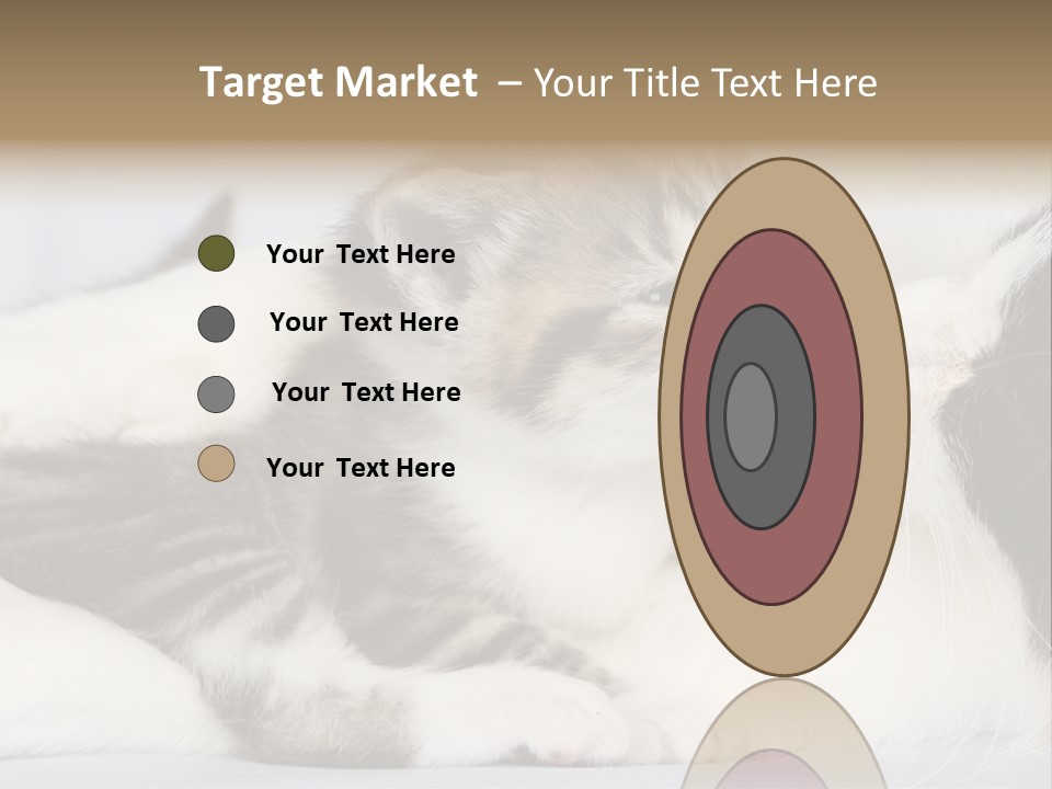 Kitten With Mom PowerPoint Template