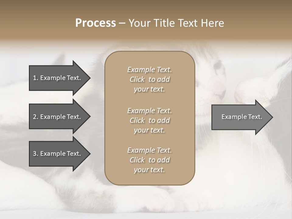Kitten With Mom PowerPoint Template
