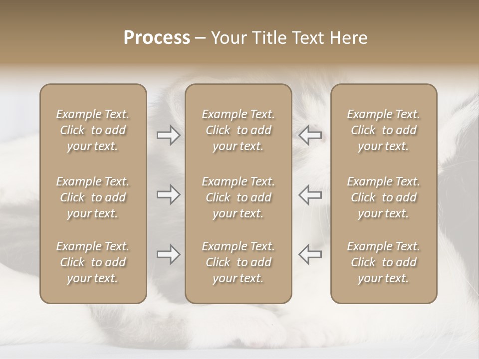Kitten With Mom PowerPoint Template