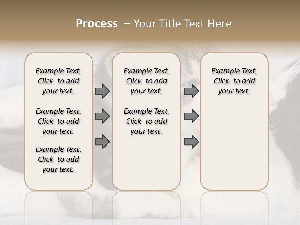 Kitten With Mom PowerPoint Template