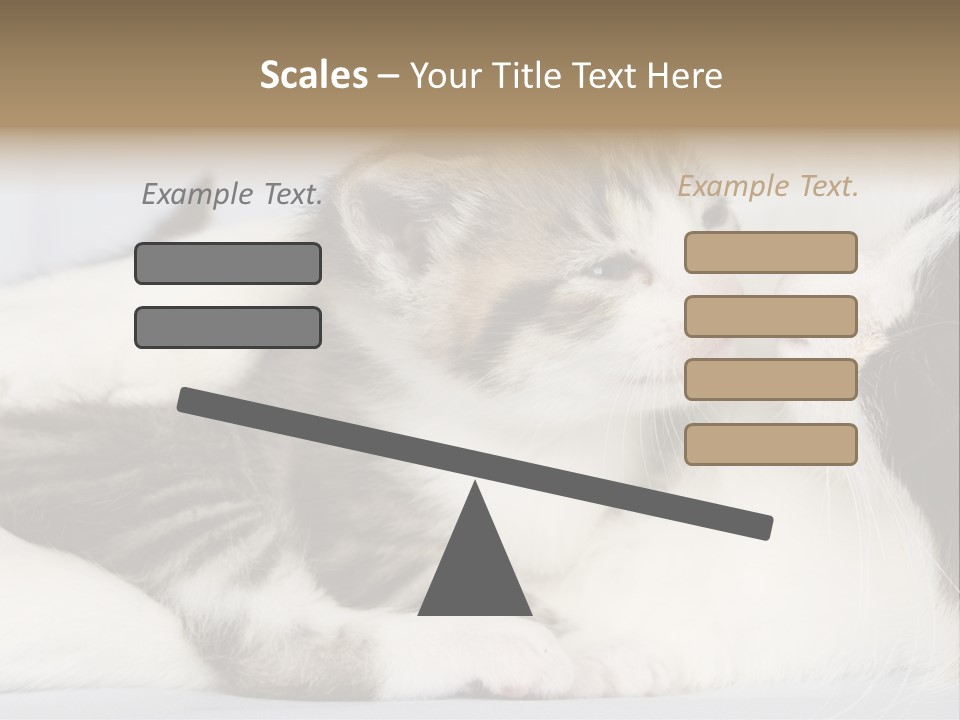 Kitten With Mom PowerPoint Template