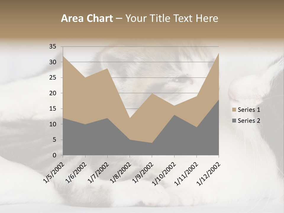 Kitten With Mom PowerPoint Template