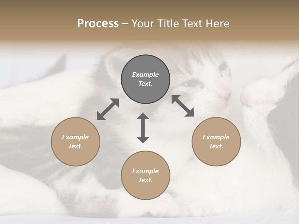 Kitten With Mom PowerPoint Template
