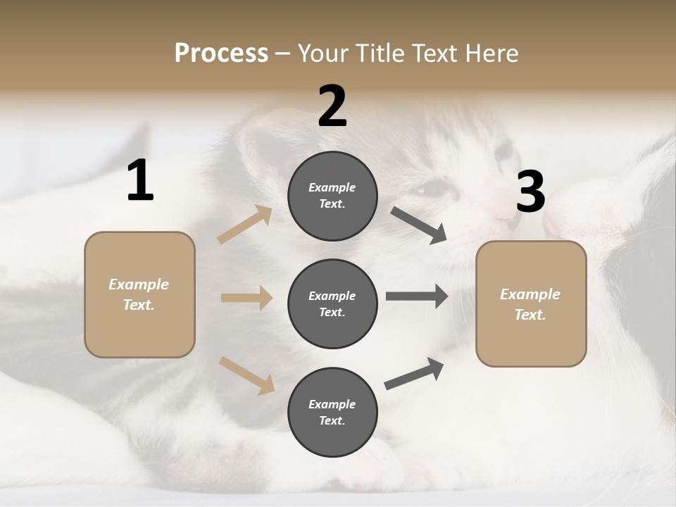 Kitten With Mom PowerPoint Template