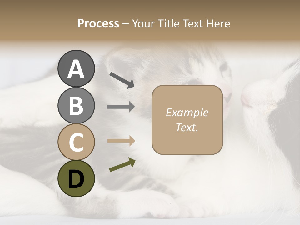 Kitten With Mom PowerPoint Template