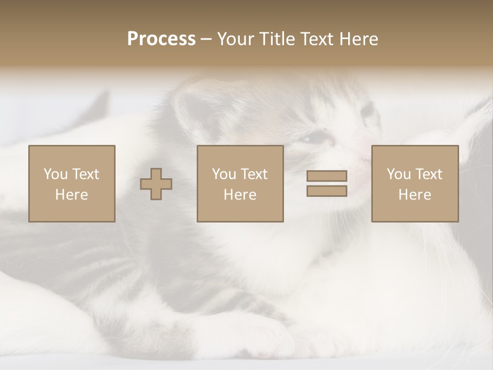 Kitten With Mom PowerPoint Template