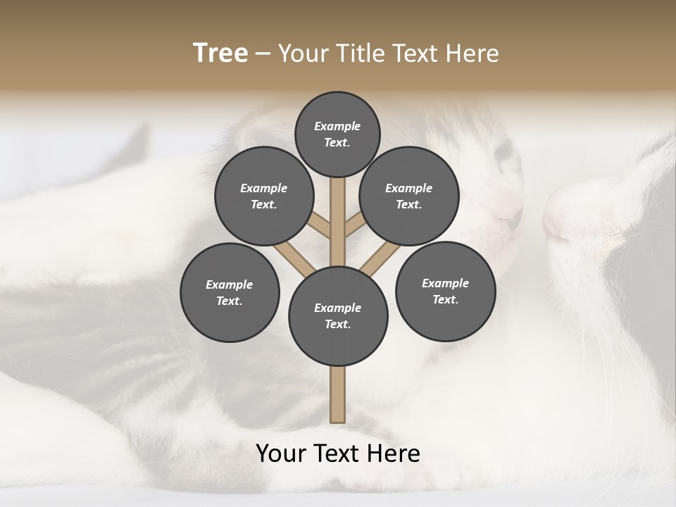 Kitten With Mom PowerPoint Template