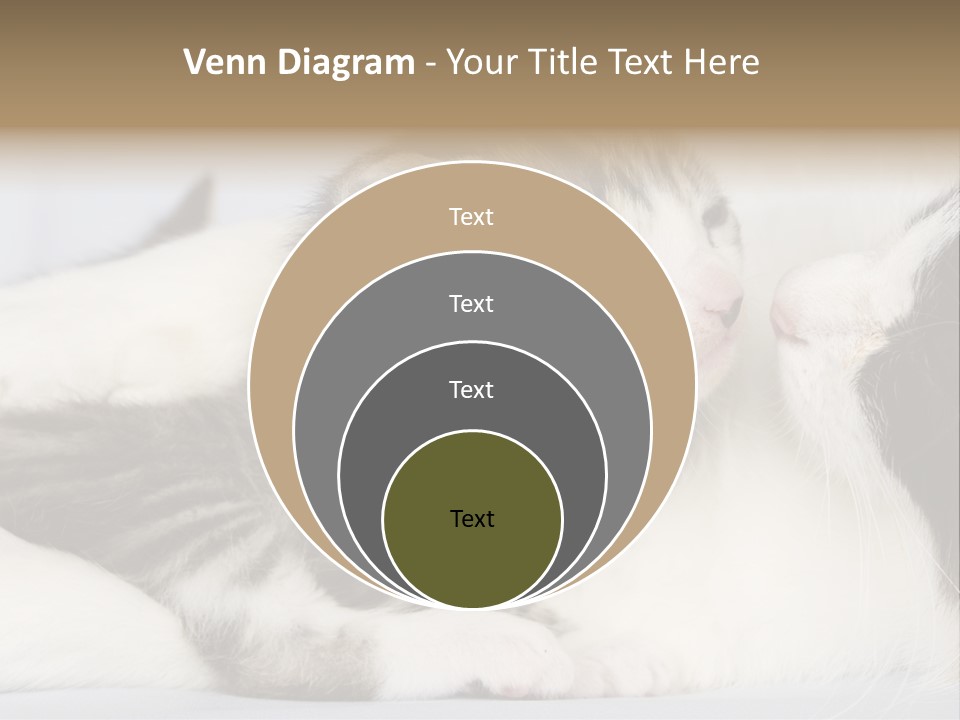 Kitten With Mom PowerPoint Template