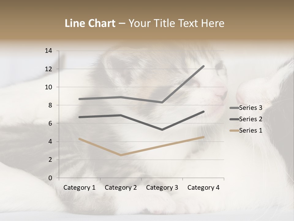 Kitten With Mom PowerPoint Template