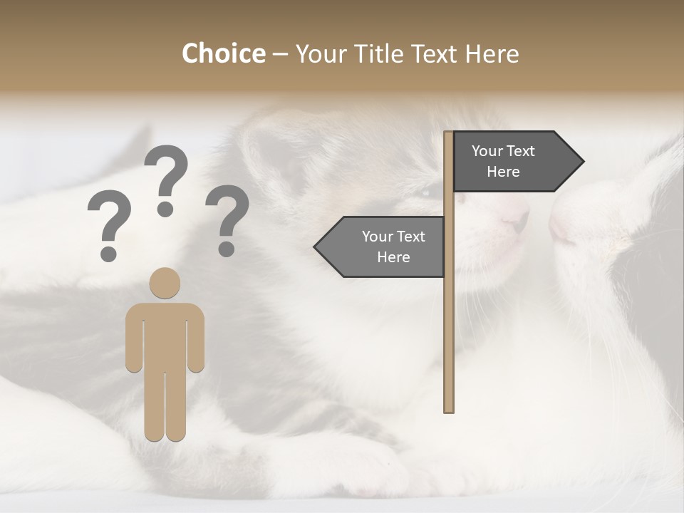 Kitten With Mom PowerPoint Template
