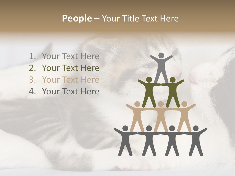 Kitten With Mom PowerPoint Template