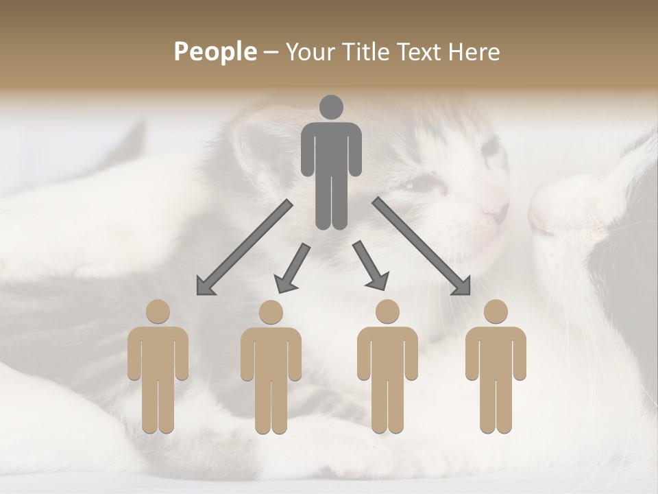 Kitten With Mom PowerPoint Template