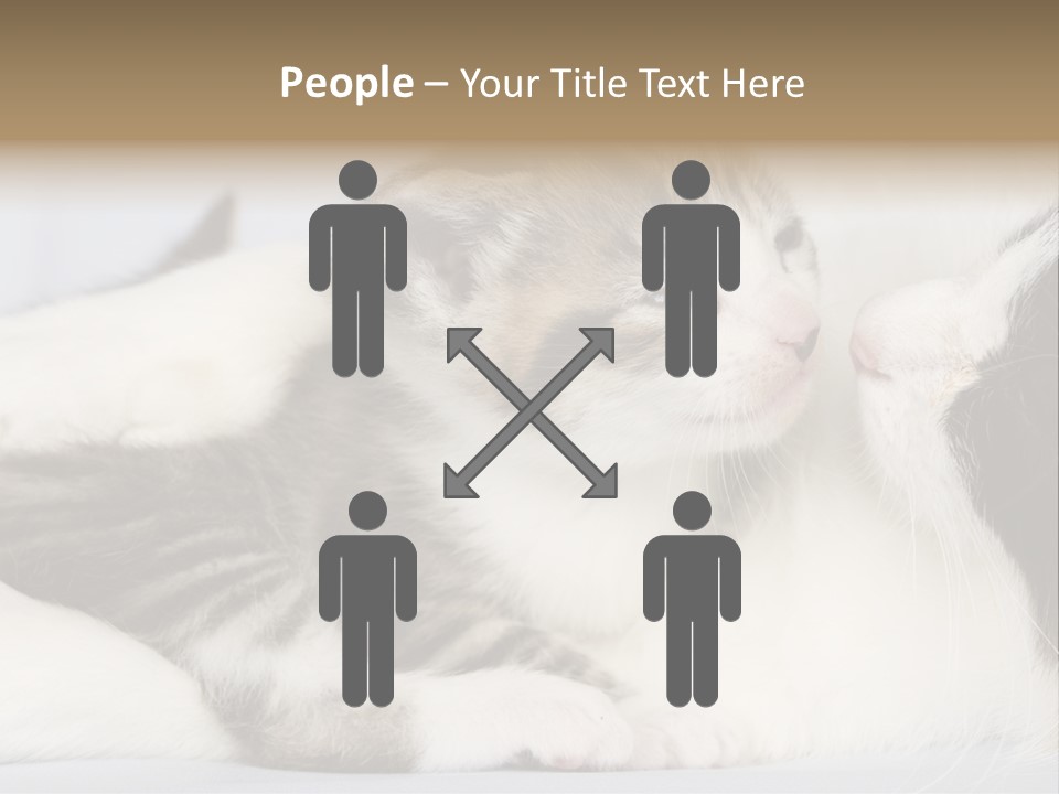 Kitten With Mom PowerPoint Template