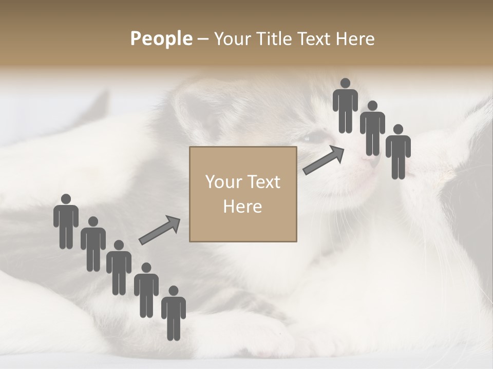 Kitten With Mom PowerPoint Template
