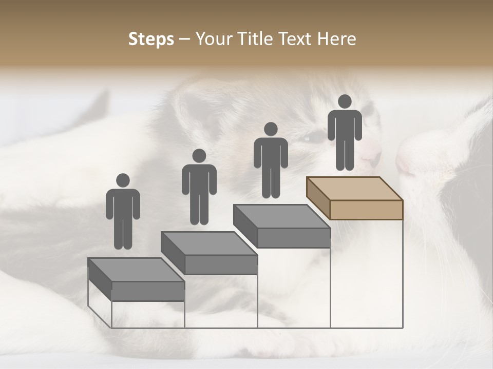 Kitten With Mom PowerPoint Template