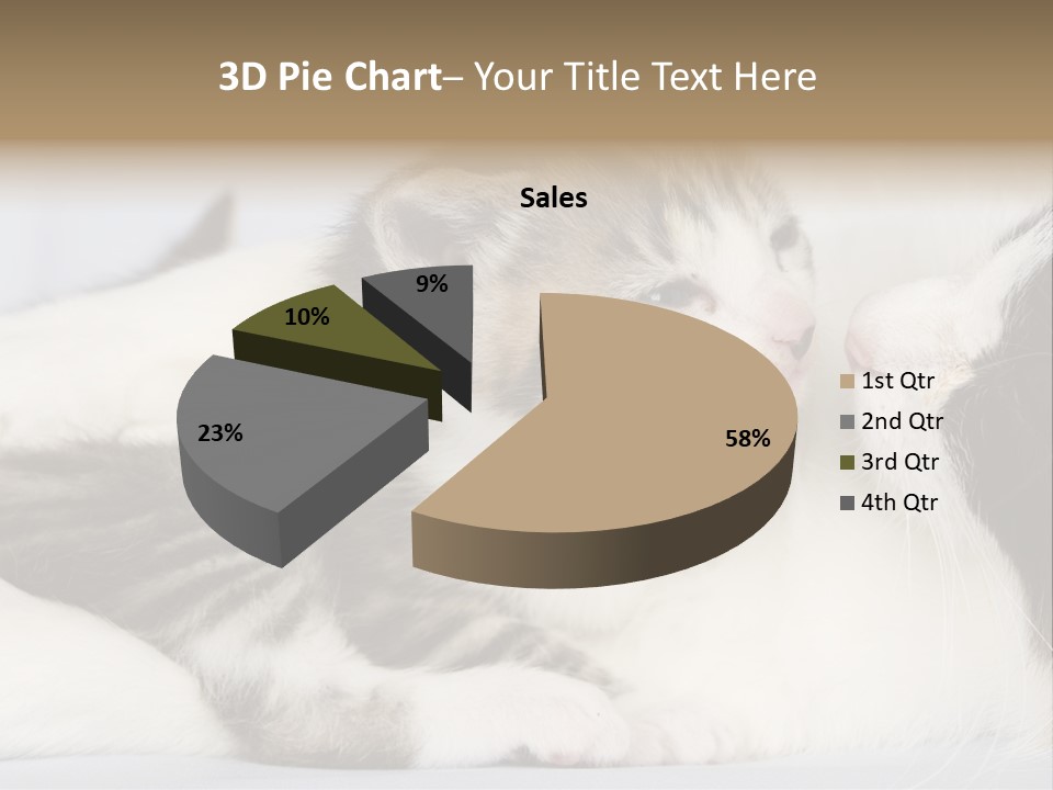 Kitten With Mom PowerPoint Template