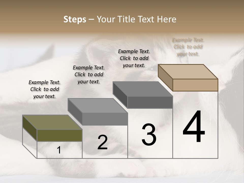 Kitten With Mom PowerPoint Template