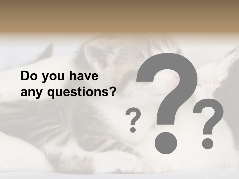 Kitten With Mom PowerPoint Template