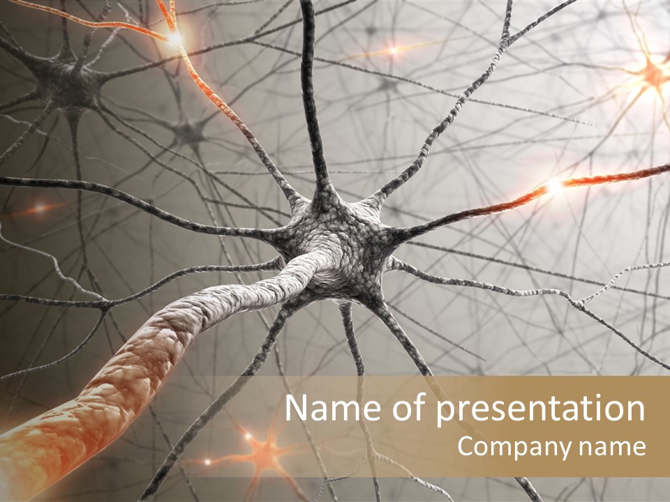 Inside The Brain. Concept Of Neurons And Nervous System. PowerPoint Template