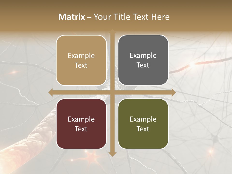 Inside The Brain. Concept Of Neurons And Nervous System. PowerPoint Template