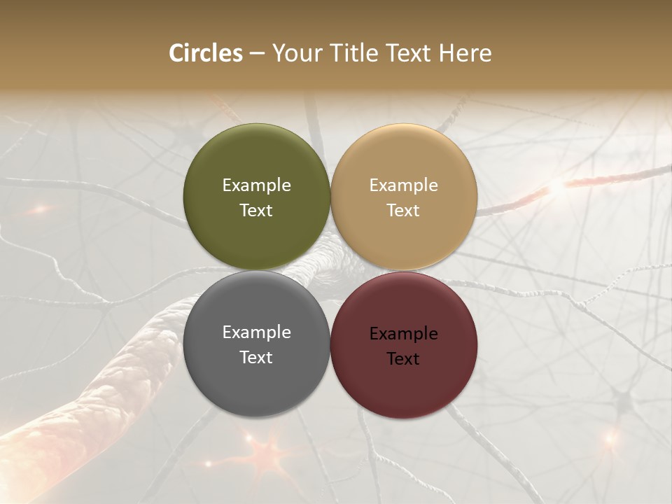 Inside The Brain. Concept Of Neurons And Nervous System. PowerPoint Template