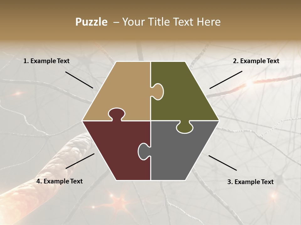 Inside The Brain. Concept Of Neurons And Nervous System. PowerPoint Template