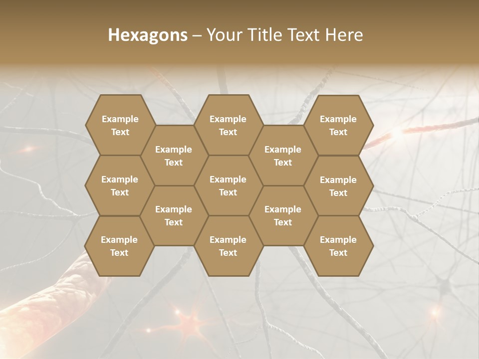 Inside The Brain. Concept Of Neurons And Nervous System. PowerPoint Template