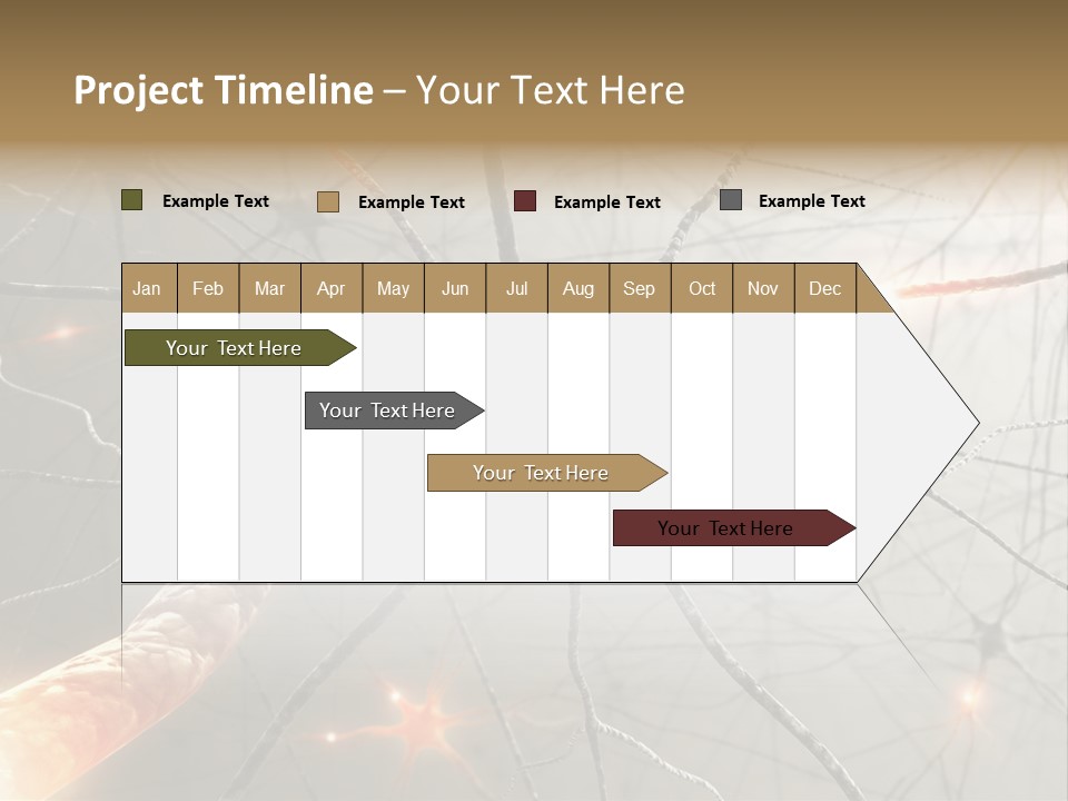Inside The Brain. Concept Of Neurons And Nervous System. PowerPoint Template