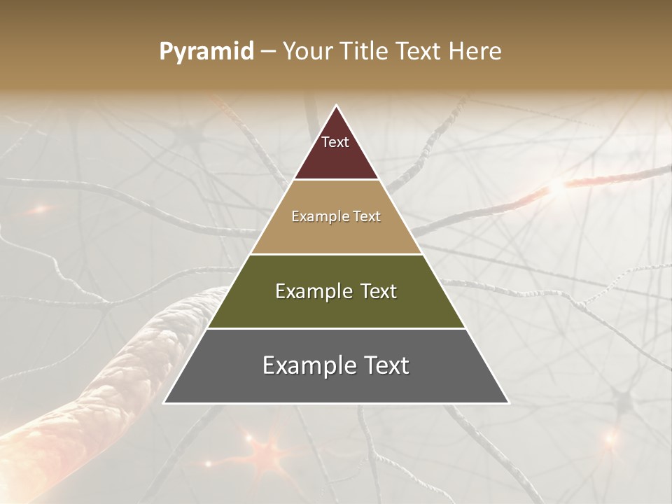 Inside The Brain. Concept Of Neurons And Nervous System. PowerPoint Template