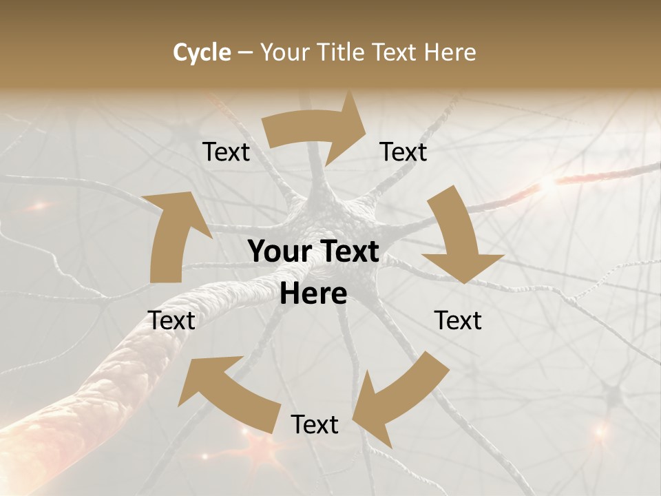 Inside The Brain. Concept Of Neurons And Nervous System. PowerPoint Template