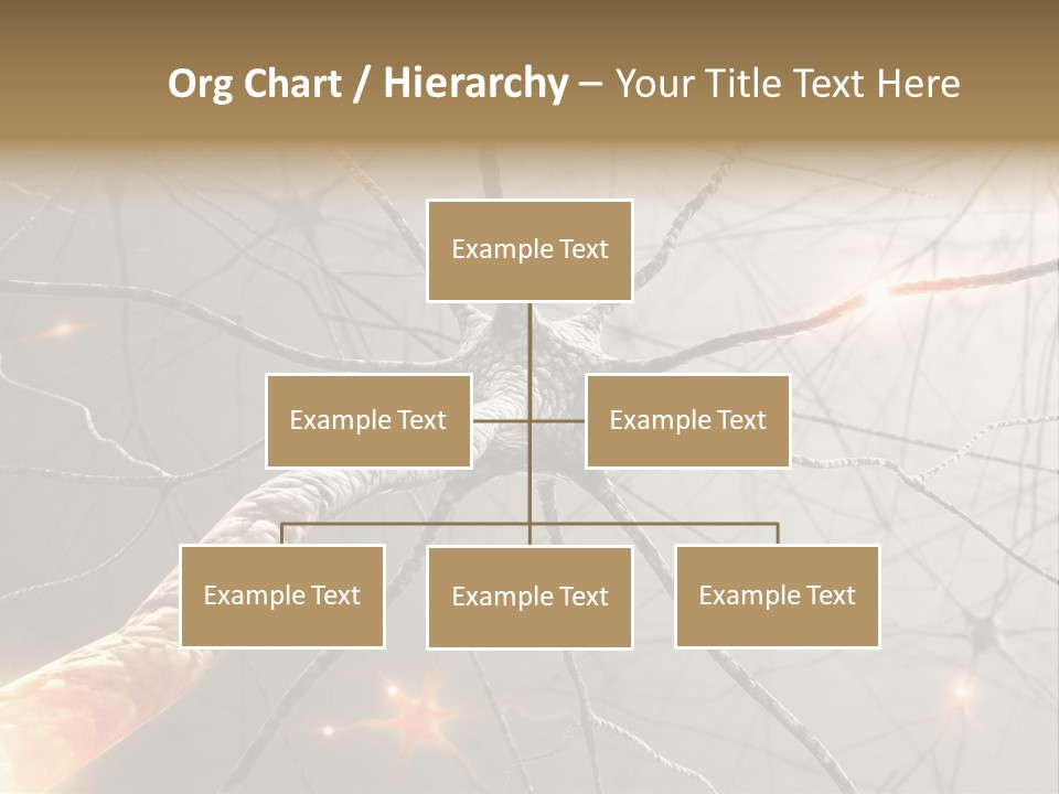 Inside The Brain. Concept Of Neurons And Nervous System. PowerPoint Template