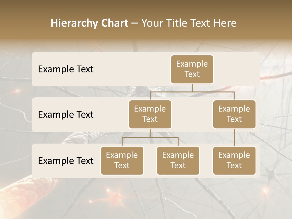 Inside The Brain. Concept Of Neurons And Nervous System. PowerPoint Template