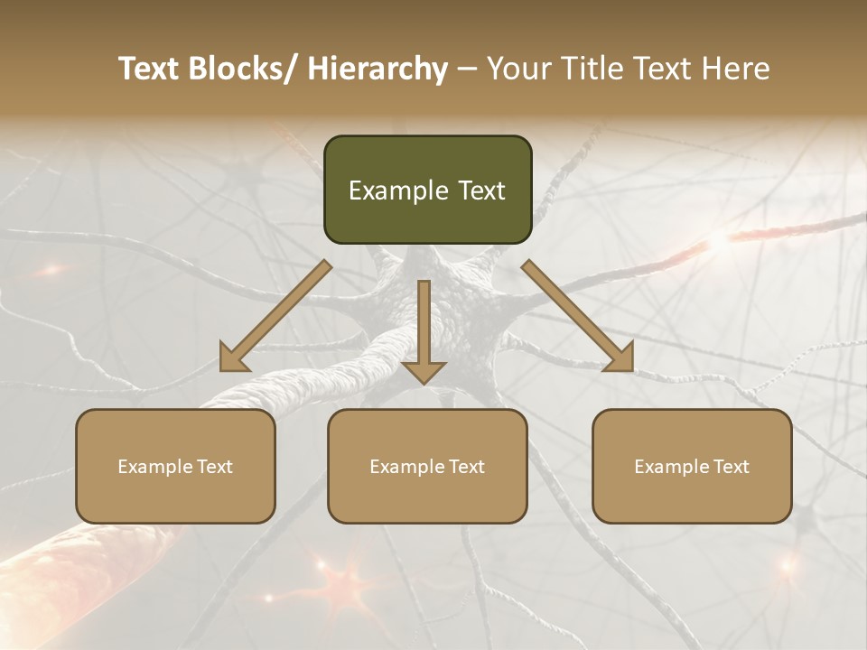 Inside The Brain. Concept Of Neurons And Nervous System. PowerPoint Template
